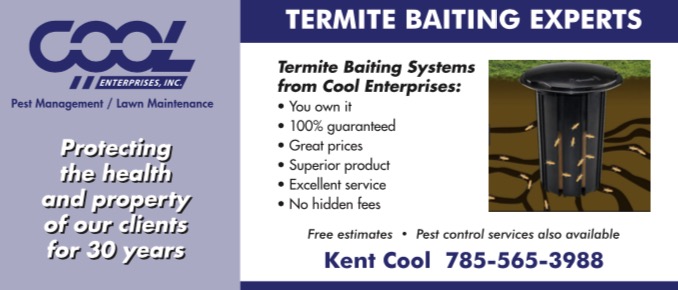 termite baiting system attracting termites